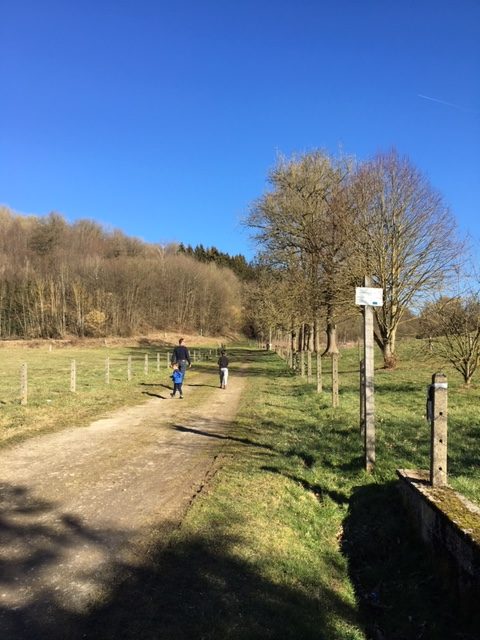 weg naar het bos bois et vallons de Crupet