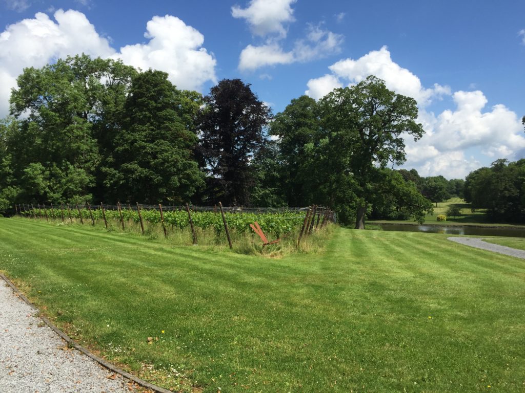 vins bio belges du château de Bioul. la perspective sur le parc.