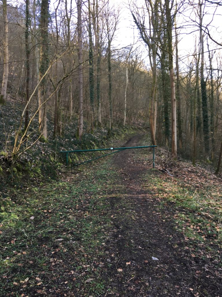 Toegang tot het bos van de wandeling tussen 5 en 10 km, Crupet Bauche 