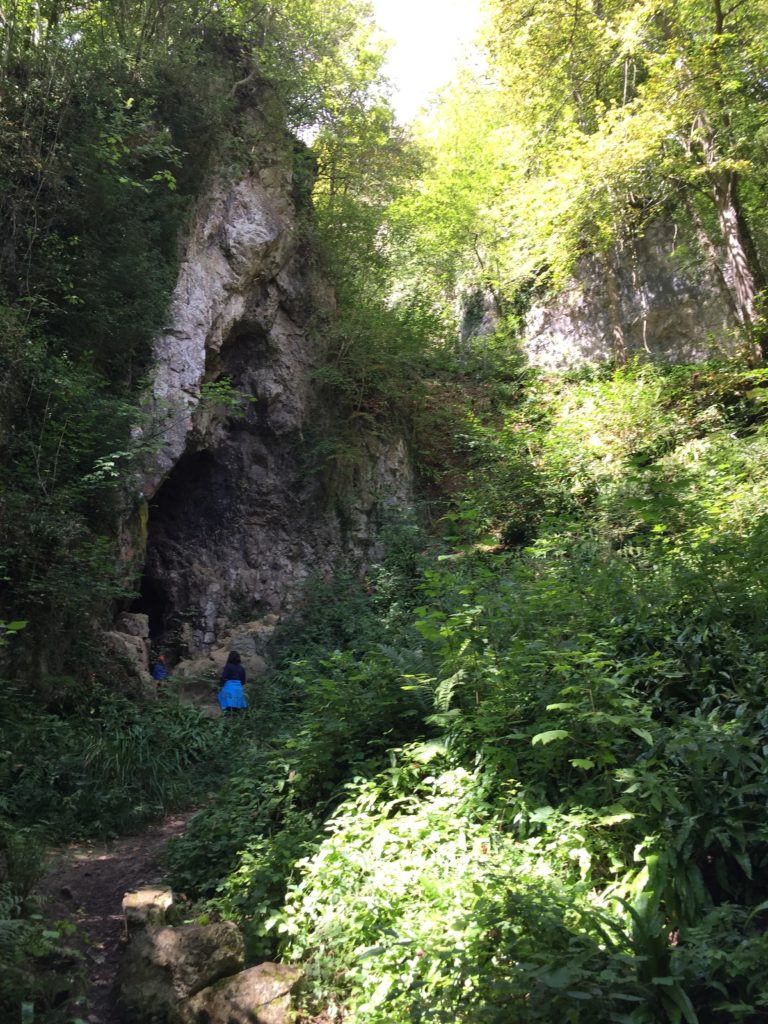 caverne dans le parc de furfooz