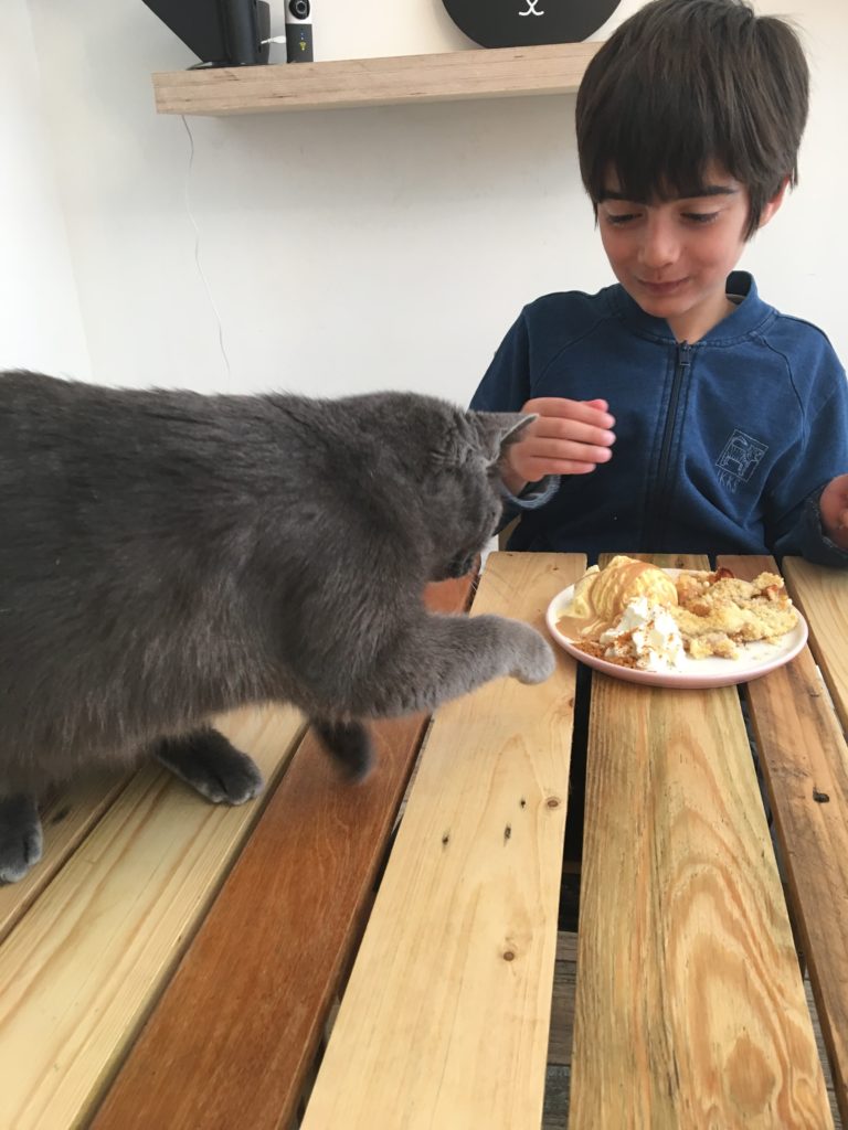 chez miss Miaouw à Namur avec Theo