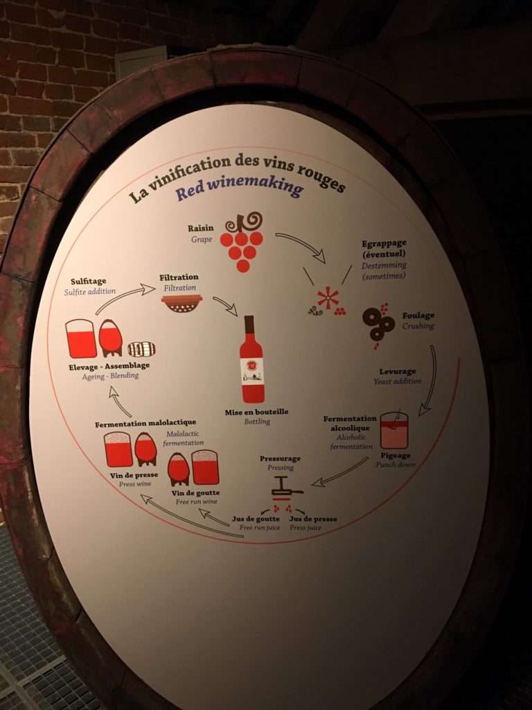 vins bio belges du château de Bioul. la vinification des vins rouges.