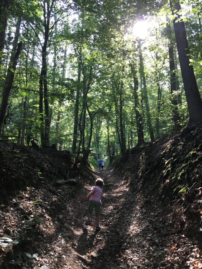 op het pad door het bos