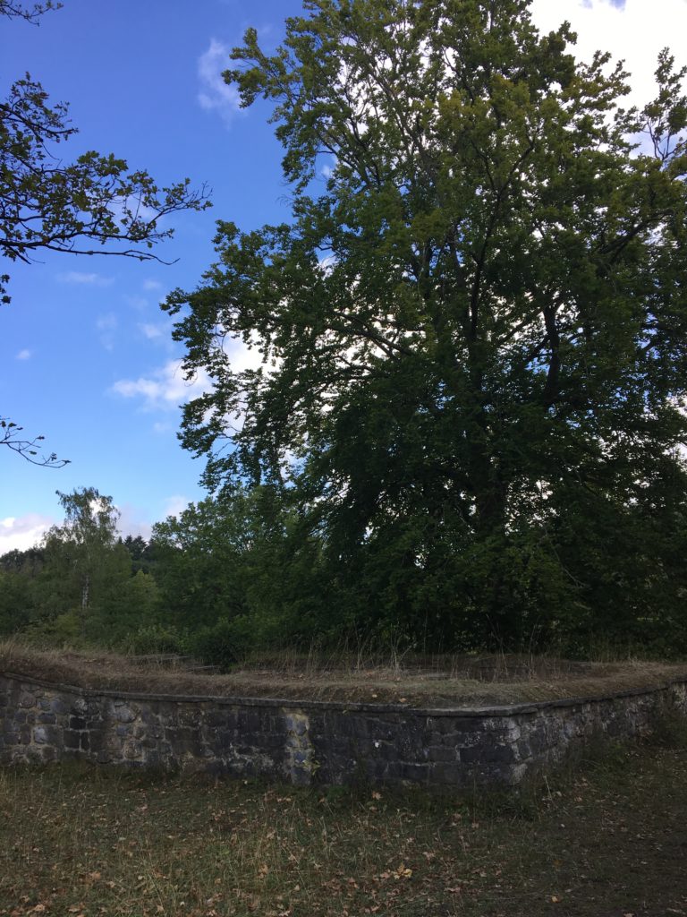 ruines de la forteresse romaine et médiévale a furfooz