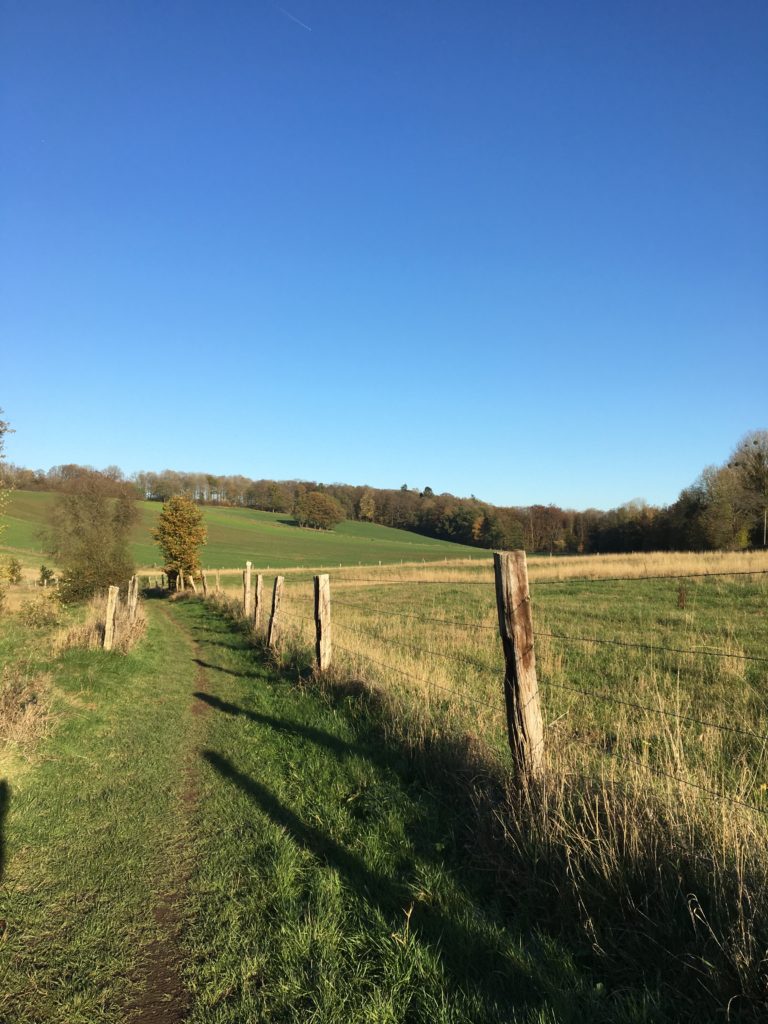 Chemin à Mont