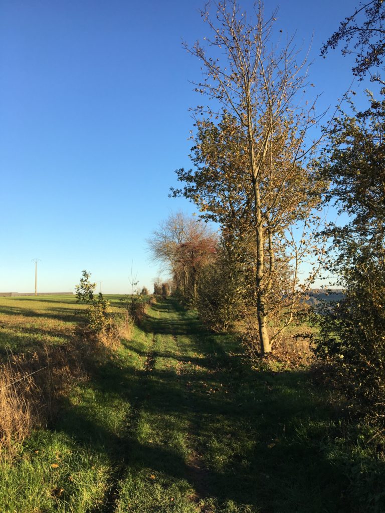 Chemin vers la ferme de Coux