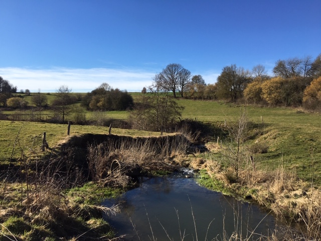 uitzicht tijdens de wandeling bois et vallons