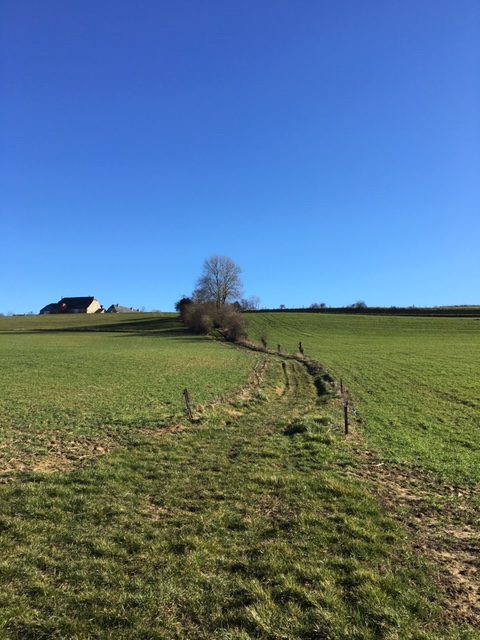 chemin vers Jassogne